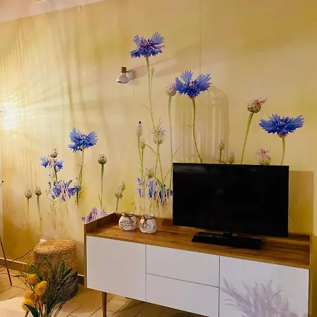 펜션 Ferienhaeuser Mit Seeblick Direkt Am Plauer