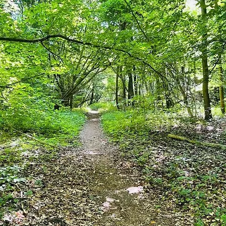 펜션 Ferienhaeuser Mit Seeblick Direkt Am Plauer 플라우암시